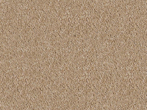 Seamless Beige Short Plush Carpet