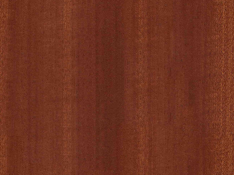 Seamless Light Color Log Plywood Wood veneer Poodles Particleboard Pine Board