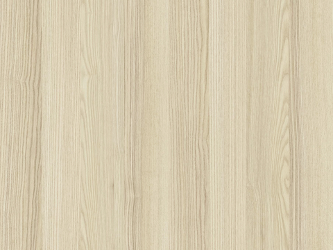 Marco Polo ash Fraxinus mandshurica Wood grain