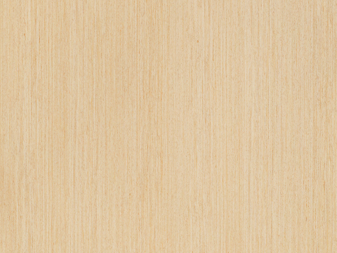 Log color yellow oak wood grain wood veneer