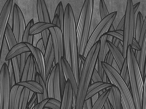 gray plant wallpaper