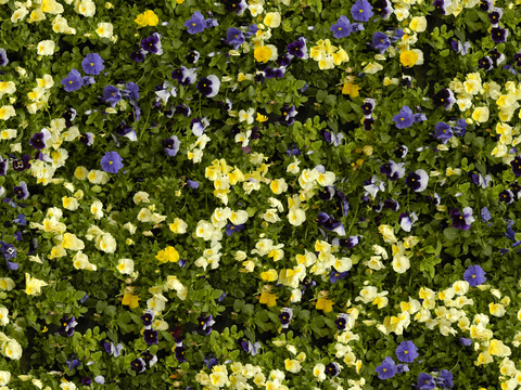 HD Seamless Green Planting Flower Ground