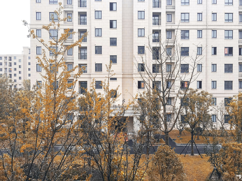 Autumn daytime residential exterior