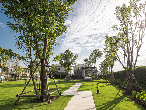 Modern residential landscape exterior sunny natural landscape exterior sky exterior