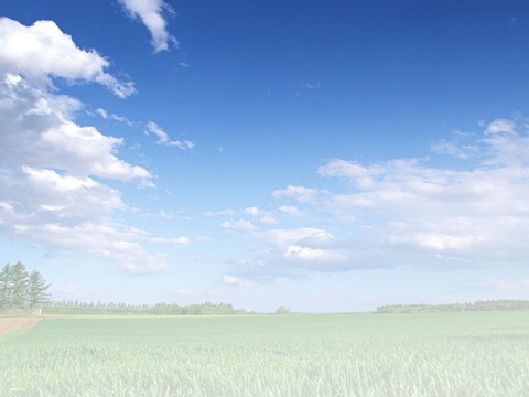 Blue Sky White Clouds Sky Clouds Day Scene Sky Day Sky Exterior