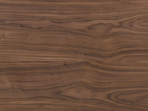 black walnut wood grain