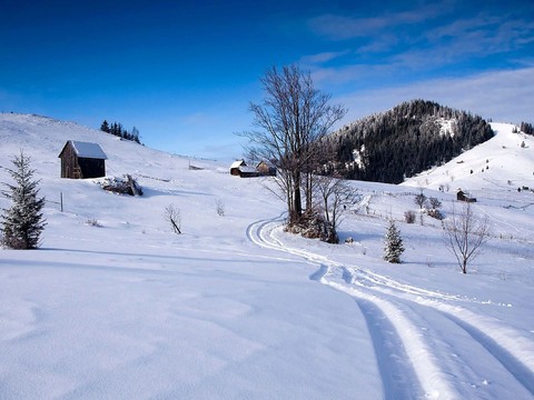 Outdoor snow