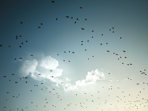 Cloudy sky landscape landscape