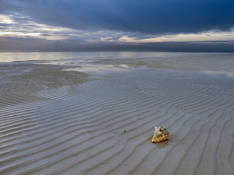 Seaside during the day