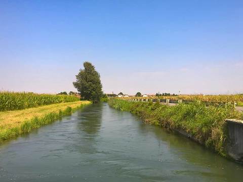 River Creek Landscape