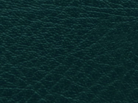 dark green leather