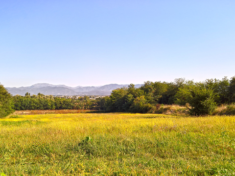 Natural Scenery Rural Landscape