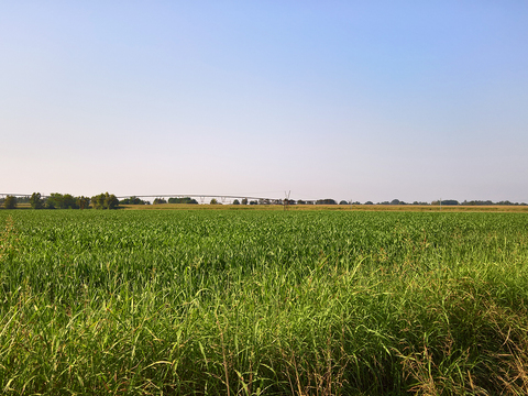 Natural Scenery Rural Landscape