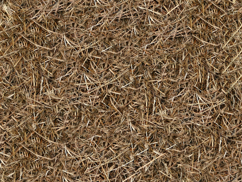 Seamless Garden Courtyard Yellow Dry Grass Lawn Sod Soil Ground