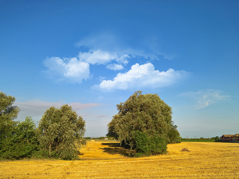 Natural Scenery Rural Landscape