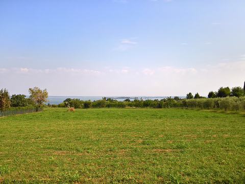 Rural landscape landscape