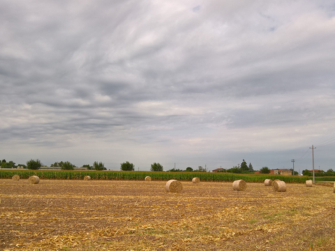 Natural Scenery Rural Landscape