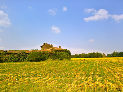 Natural Scenery Rural Landscape