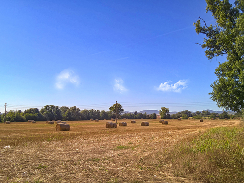 Natural Scenery Rural Landscape