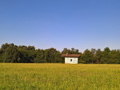 Natural Scenery Rural Landscape