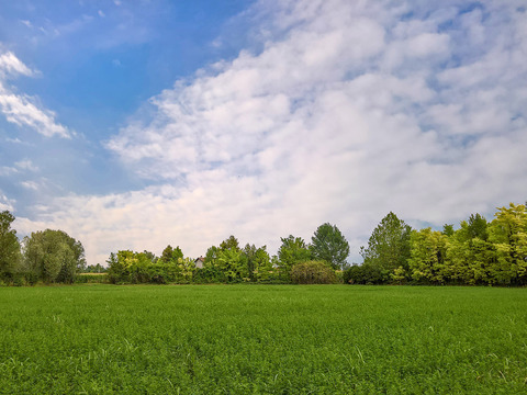 Natural Scenery Rural Landscape