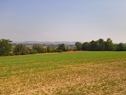 Rural landscape landscape