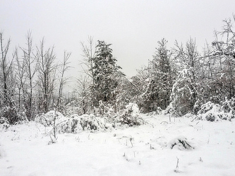 Snow in winter country landscape scenery