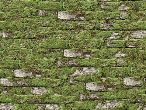 Seamless Courtyard Garden Moss Lawn Turf Grass Rock Stone Ground Wall