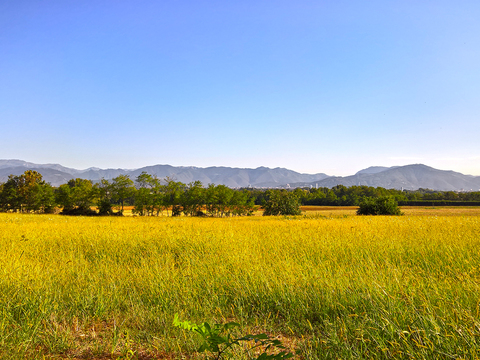 Natural Scenery Rural Landscape