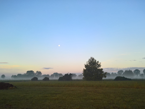 Rural landscape landscape