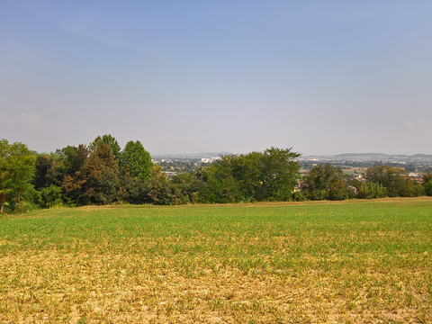 Natural Scenery Rural Landscape