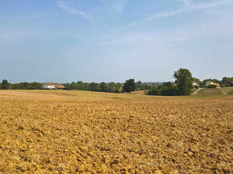 Natural Scenery Rural Landscape