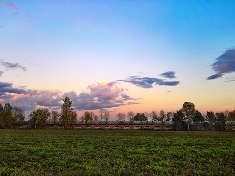 Natural Scenery Rural Landscape