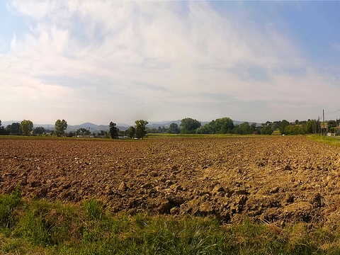 Natural Scenery Rural Landscape