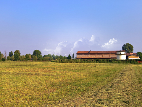 Natural Scenery Rural Landscape