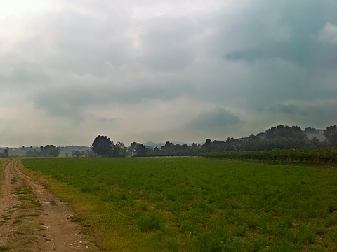 Natural Scenery Rural Landscape