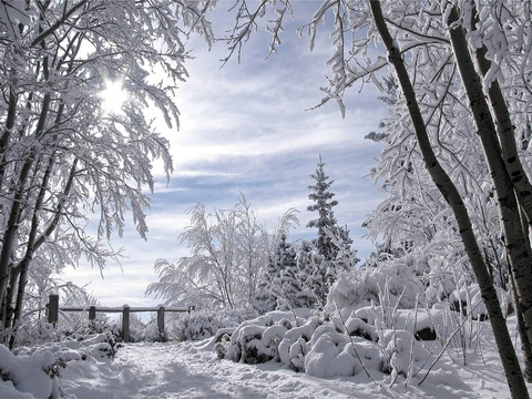 Snow in winter country landscape scenery