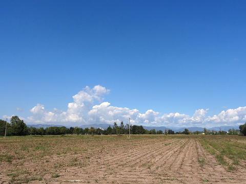 Natural Scenery Rural Landscape