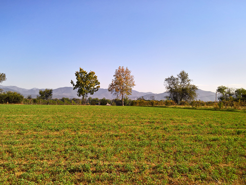 Natural Scenery Rural Landscape