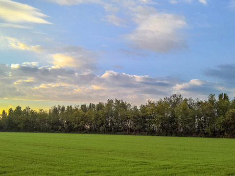 Natural Scenery Rural Landscape