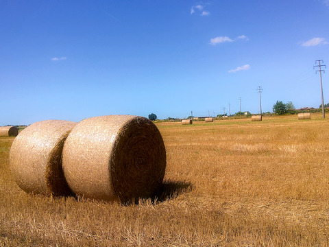 Natural Scenery Rural Landscape