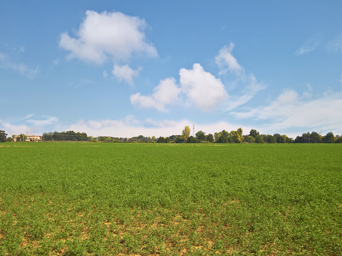 Natural Scenery Rural Landscape