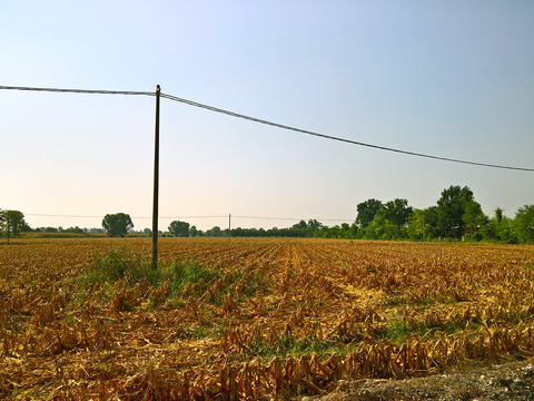 Natural Scenery Rural Landscape