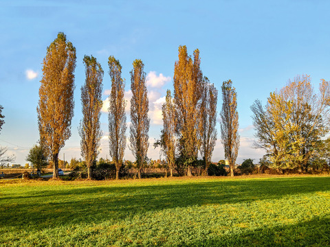 Natural Scenery Rural Landscape