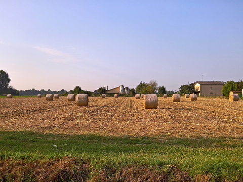 Natural Scenery Rural Landscape