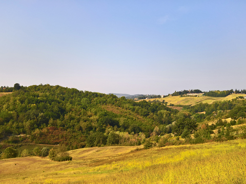 Natural Scenery Rural Landscape