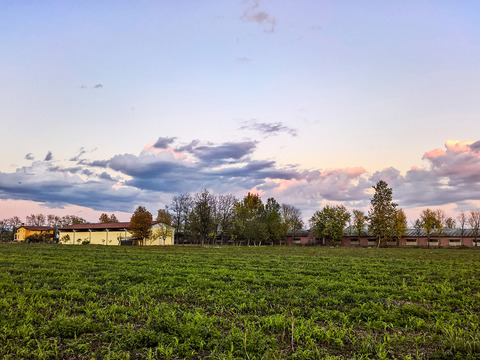 Natural Scenery Rural Landscape