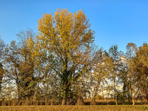 Natural Scenery Rural Landscape