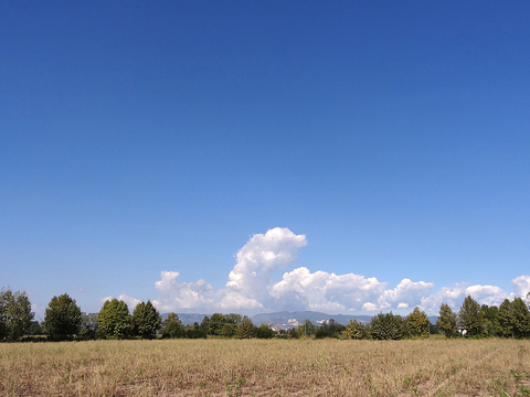 Rural landscape landscape