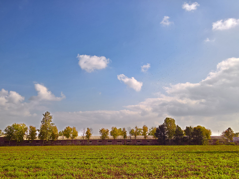 Natural Scenery Rural Landscape